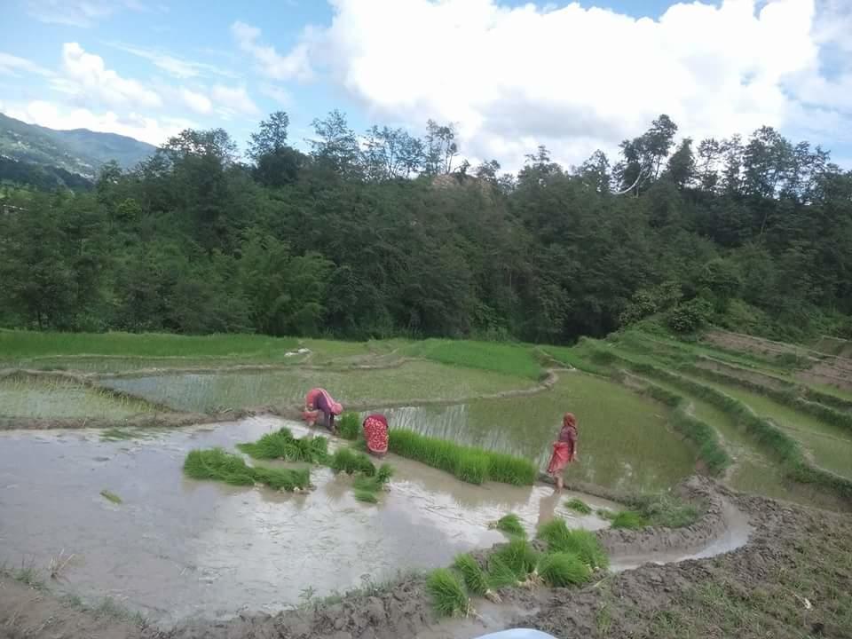 Changu Newa Homestay Bhatgoan Buitenkant foto